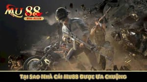 Plataforma de apostas MU88 dentro do app abcbet destacada por usuários